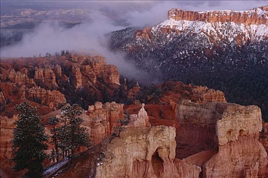 俯视,岩石,风景,布莱斯峡谷国家公园,犹他,美国