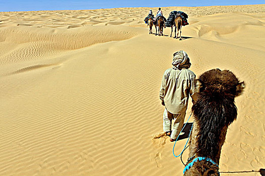 撒哈拉沙漠,东部大沙漠