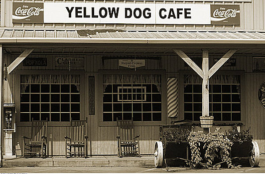 黄色,狗,咖啡,密西西比,美国