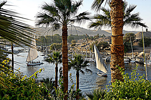 埃及,阿斯旺,三桅帆船,尼罗河,河