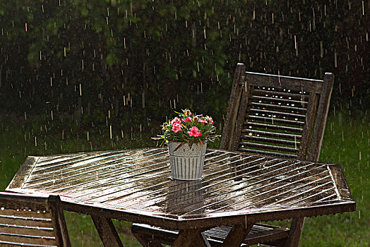 花园,阵雨,雨