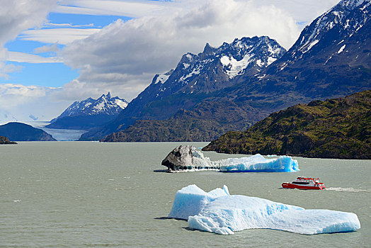 游船,湖,灰色,浮冰,格里冰河,背景,托雷德裴恩国家公园,省,智利,南美