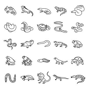 爬行动物,两栖动物,轮廓,象征