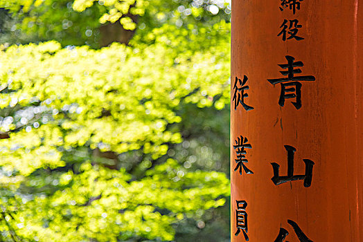 亚洲,日本,京都,伏见稻荷大社,神祠