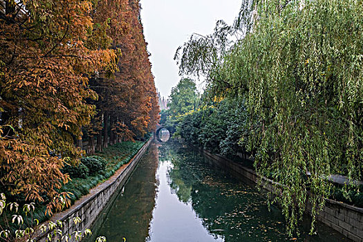 小河两岸秋景