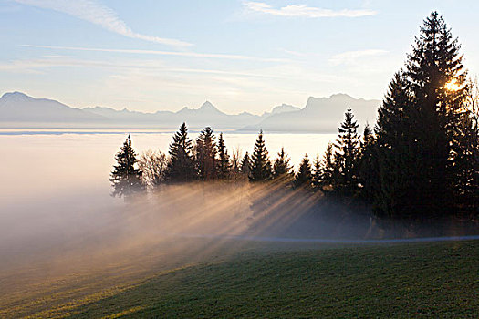 秋天,雾,高处,城市,萨尔茨堡,奥地利