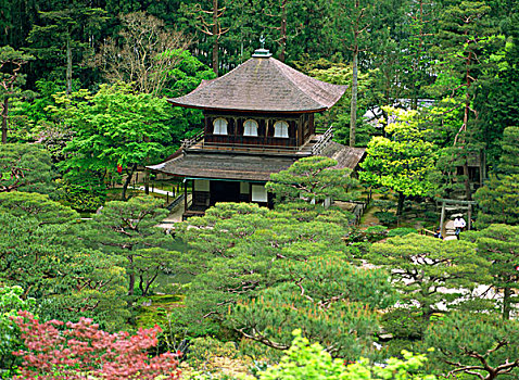 庙宇,世界,文化,京都,日本