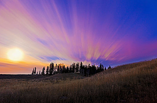 条纹,云,日落,公共草地,艾伯塔省,加拿大
