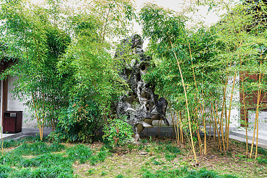 徽州府衙后花园竹林太湖石园林景观