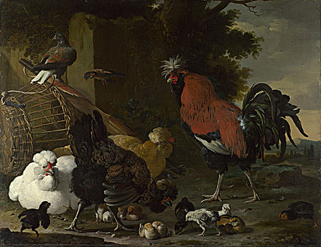 公鸡,母鸡,幼禽,艺术家
