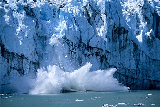 冰河湾,东南阿拉斯加,夏天