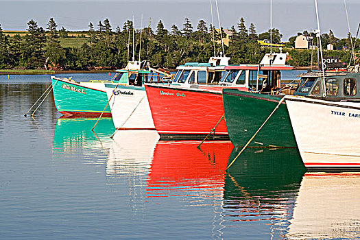 渔船,反射,法国河,港口,爱德华王子岛,加拿大