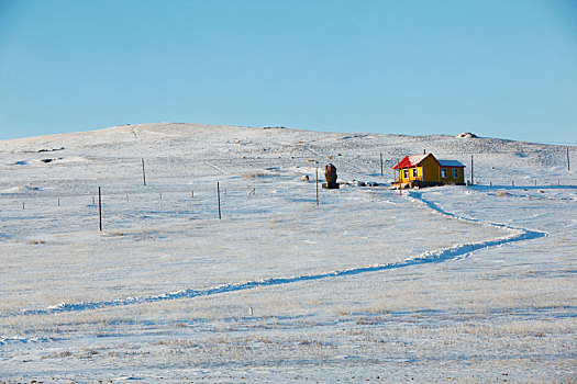 内蒙古山村的雪天