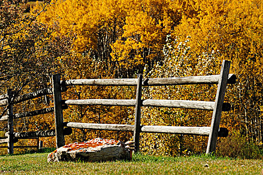 木质,栅栏,牛仔,牧场,萨斯喀彻温,加拿大,北美