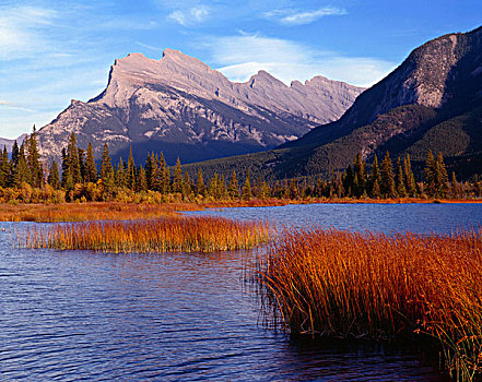 加拿大,艾伯塔省,班芙国家公园,湿地,草,维米里翁湖,伦多山,大幅,尺寸