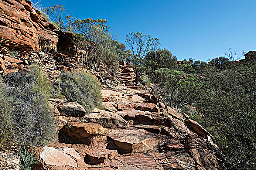 澳大利亚,国家公园,国王峡谷,边缘,走,岩石,远足,小路
