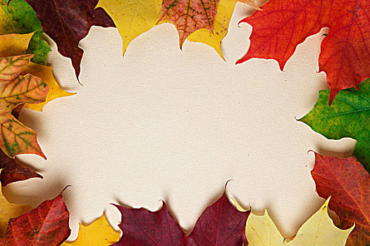 秋天,枫叶,纸,表面,横图