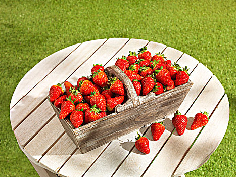 草莓,篮子,花园桌