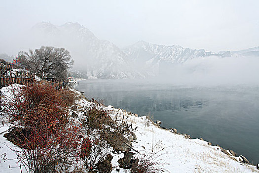 新疆,天池,雪景,松树,湖泊