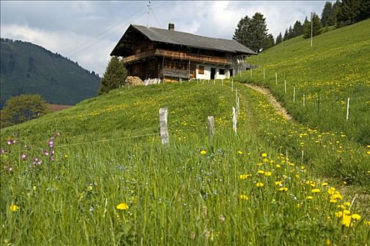 高山牧场,木房子,瓦莱,瑞士