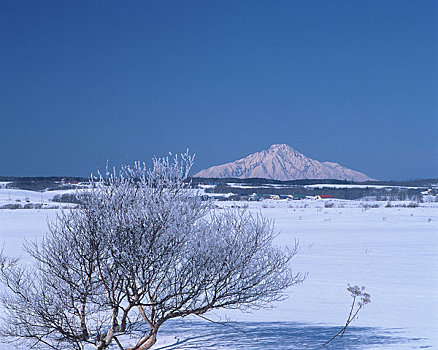 野外,朴素