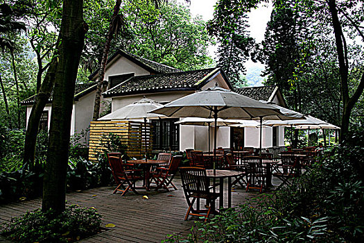 重庆南温泉原林森浴场旧址与森林茶座
