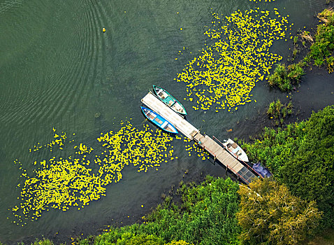 小,码头,水生植物,划艇,梅克伦堡,湖区,瑞士,梅克伦堡州,德国