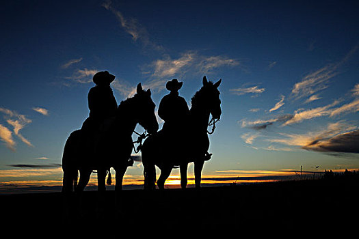 女牛仔,牛仔,坐,马,日落,萨斯喀彻温,加拿大