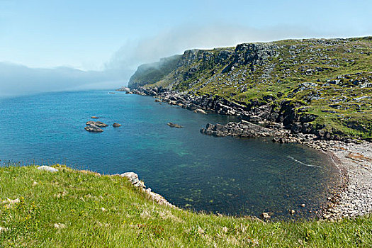 小湾,岩石,海岸线,雾,接近,住宅区,低,纽芬兰,加拿大