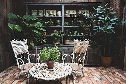 花园,房间,旧式,藤椅,桌子,选择,室内植物,陶制器具,木质,架子