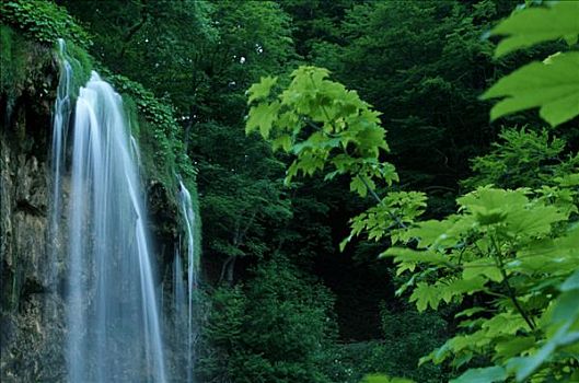 瀑布,湖,国家公园,克罗地亚