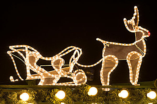 光亮,驯鹿,雪撬,圣诞节,市场,多特蒙德,区域,北莱茵威斯特伐利亚,德国,欧洲