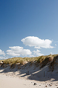 蓝色,天空,雪白,云,海滩,特塞尔,荷兰,欧洲