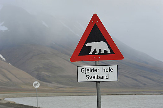 北极熊,警告标识,朗伊尔城,斯匹次卑尔根岛,岛屿,斯瓦尔巴群岛,斯瓦尔巴特群岛,挪威,欧洲