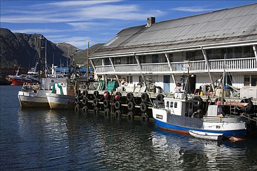泊船,港口,霍宁斯沃格,岛屿,北角地区,挪威