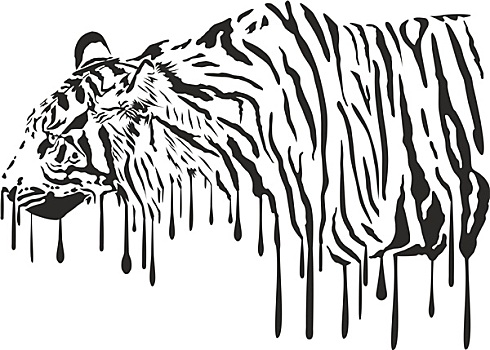 虎,抽象,描绘,白色背景