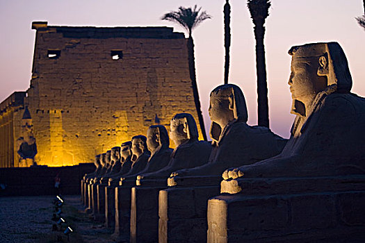 石头,雕塑,卢克索神庙,约旦河东岸,路克索神庙,尼罗河,河,埃及