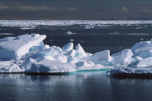 浮冰,斯匹茨卑尔根岛,挪威,北冰洋
