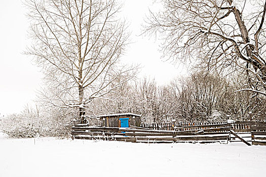 积雪,小屋,蓝色,门,后面,栅栏,俄罗斯