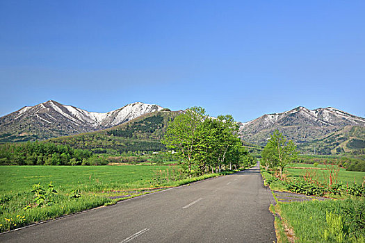 道路,山,北海道