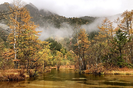云雾缭绕的秋季山水
