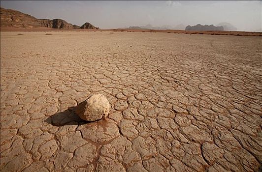 一个,石头,躺着,干枯,荒芜,地面,瓦地伦,约旦
