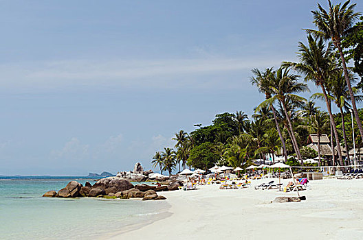 伞,海滩,湾,苏梅岛,岛屿,泰国,亚洲
