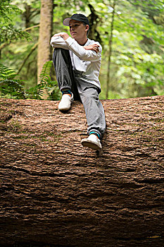少男,坐,秋天,树干,看别处,环太平洋国家公园,温哥华岛,加拿大