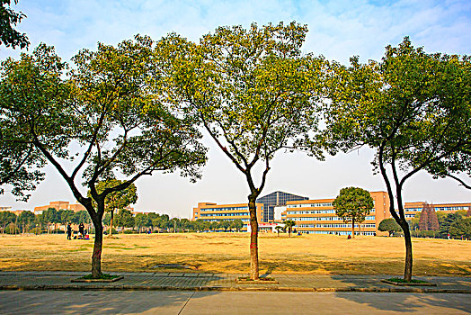 宁波大学,大学,学府,教育