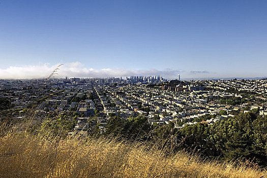 市区,旧金山,高度,加利福尼亚,美国