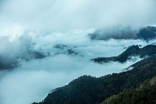 神农架,神农顶,风景,景点,旅游,高山,瀑布,河流,神秘,树木,植被,石头,鄂西,云海,峡谷,壮观