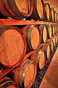 一堆,橡树,葡萄酒桶,葡萄酒厂,地窖