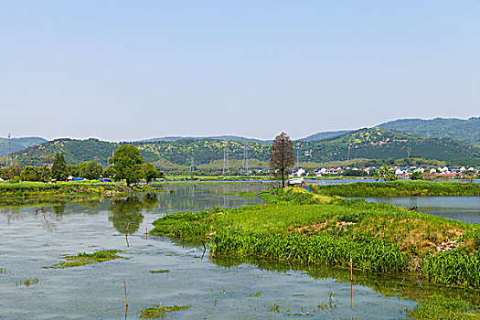 苏州旺山村风光