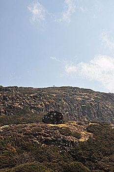 高山草甸